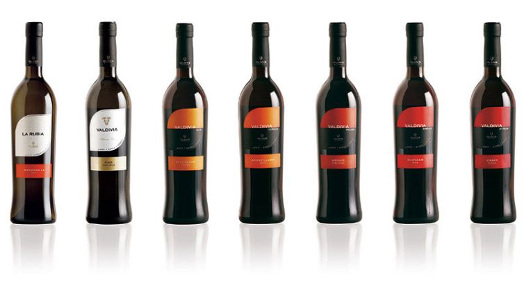 Packaging vinos de Jerez Valdivia