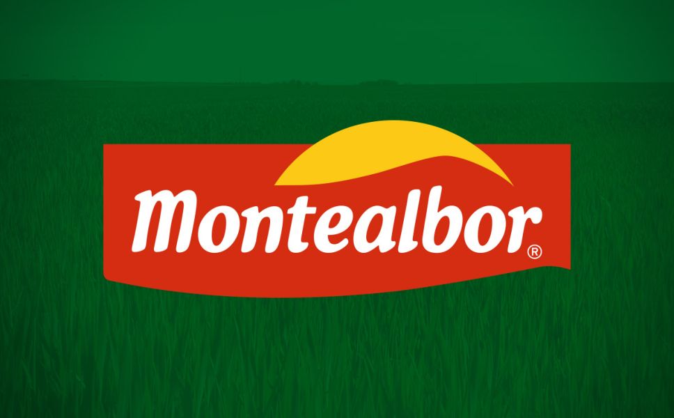 Diseño de Branding Montealbor