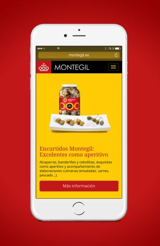 Diseño de web responsive Montegil