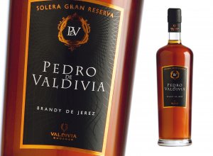 Pedro de Valdivia gourmet selection