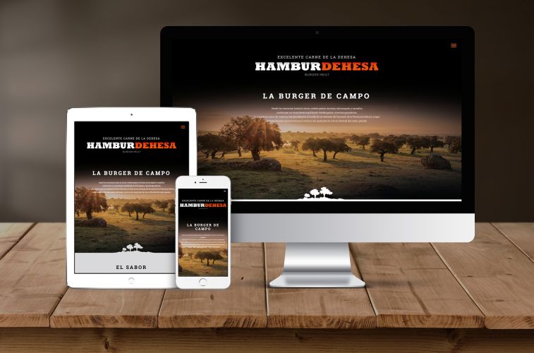 Diseño web Hamburdehesa