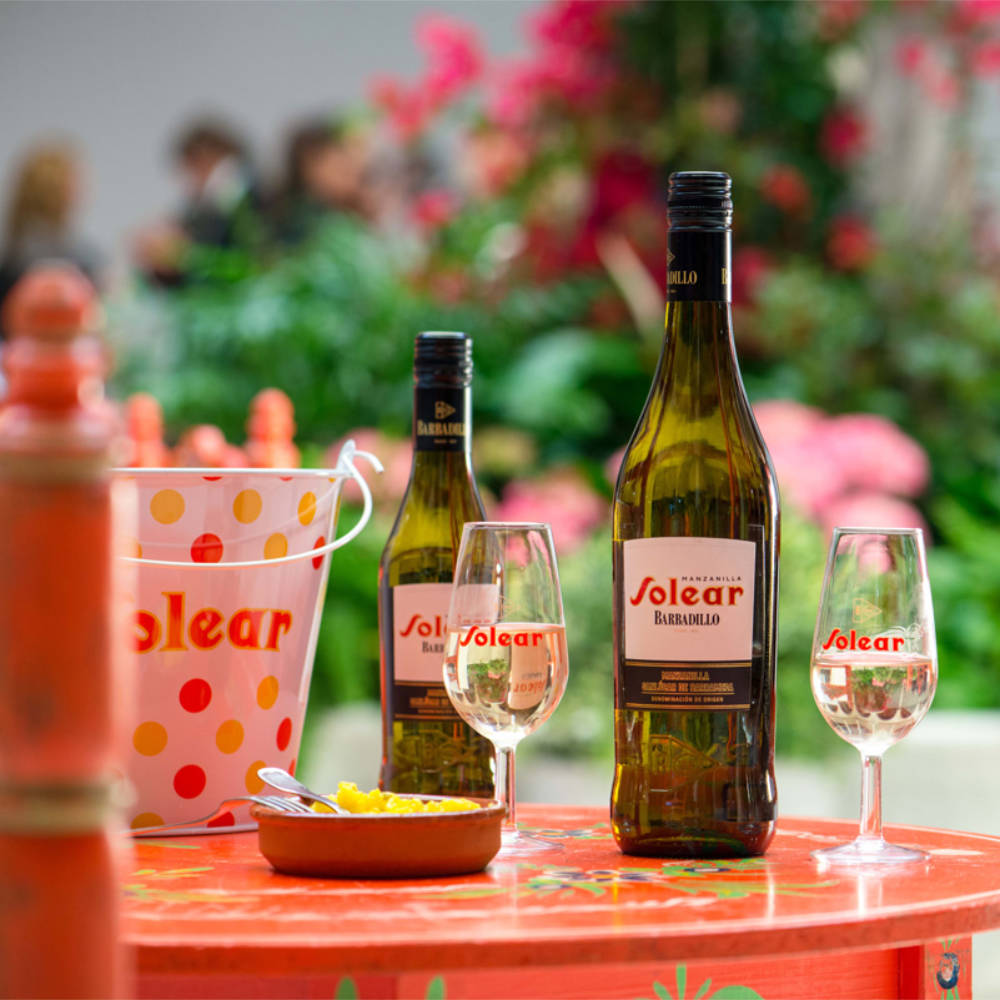 Branding y Packaging de Manzanilla Solear
