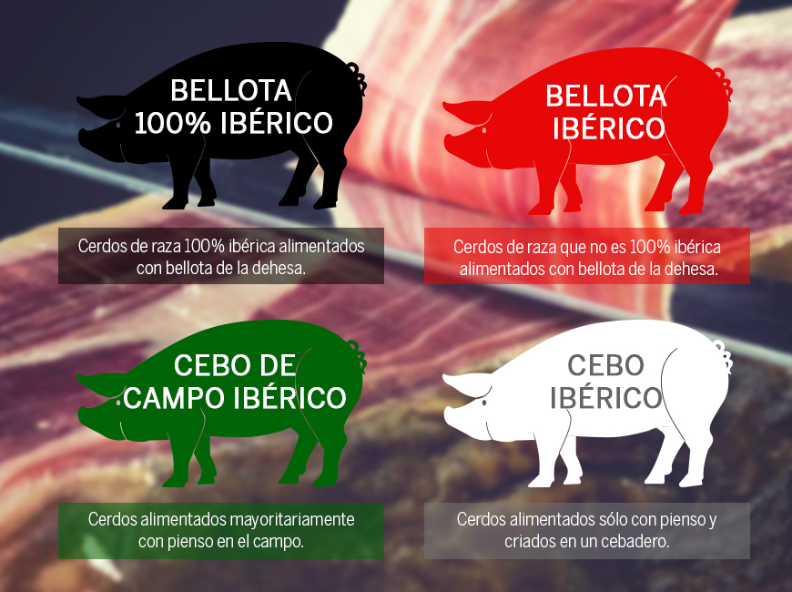 Clasificación etiquetas para jamones ibéricos