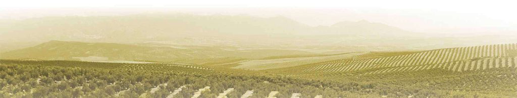 Fondo de paisaje de olivar andaluz vinculado a la producción de aceite TuAceite de siempre