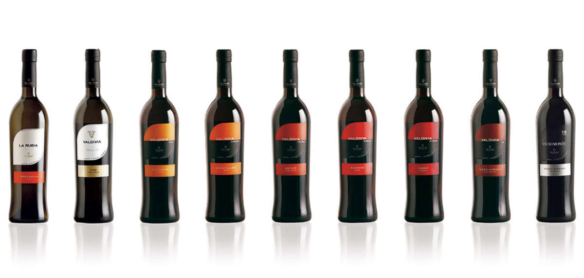 Gama de vinos de Jerez Bodegas Valdivia con identidad de marca coherente entre referencias